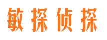 银川市私家侦探
